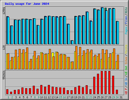 Daily usage for June 2024