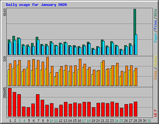Daily usage for January 2026