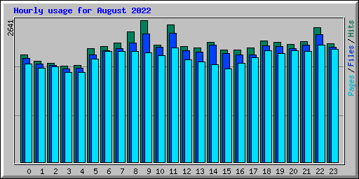 Hourly usage for August 2022