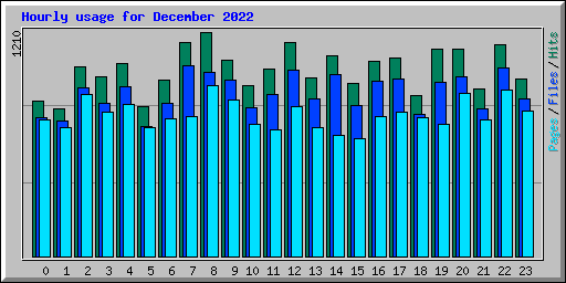 Hourly usage for December 2022