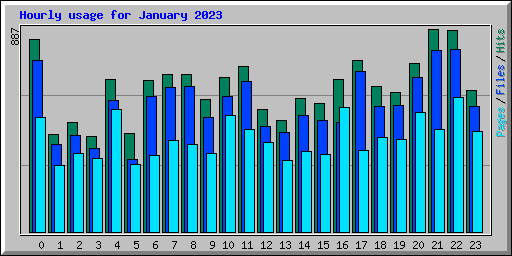 Hourly usage for January 2023