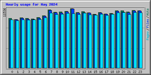 Hourly usage for May 2024