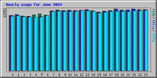 Hourly usage for June 2024