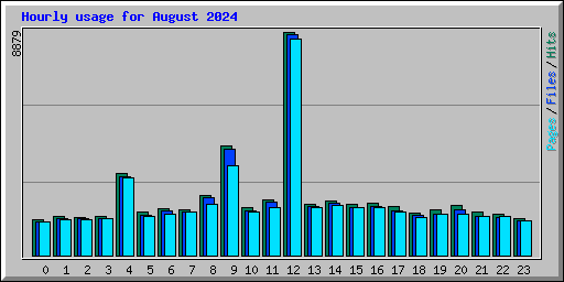 Hourly usage for August 2024