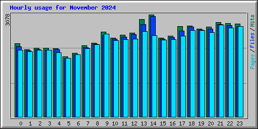 Hourly usage for November 2024