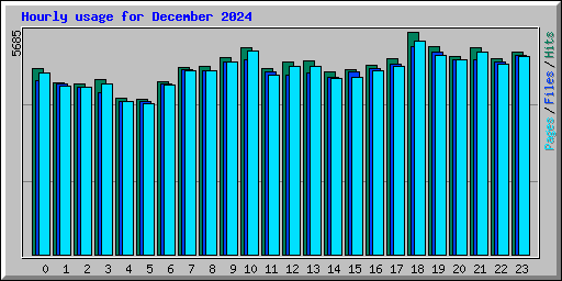 Hourly usage for December 2024