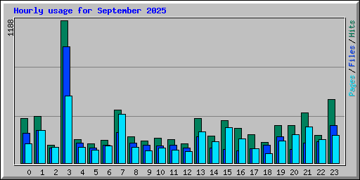 Hourly usage for September 2025