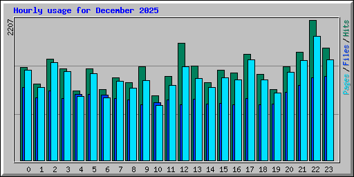 Hourly usage for December 2025