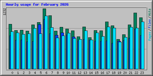 Hourly usage for February 2026