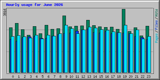 Hourly usage for June 2026