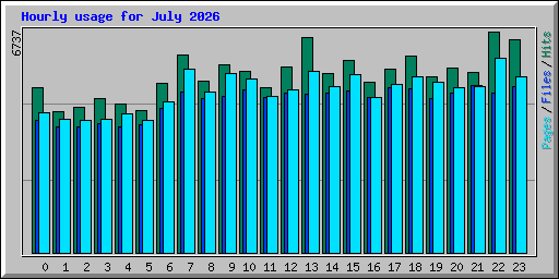 Hourly usage for July 2026